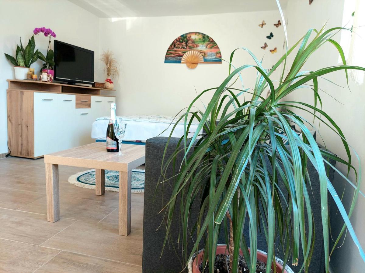 Apartments Karin بليد المظهر الخارجي الصورة