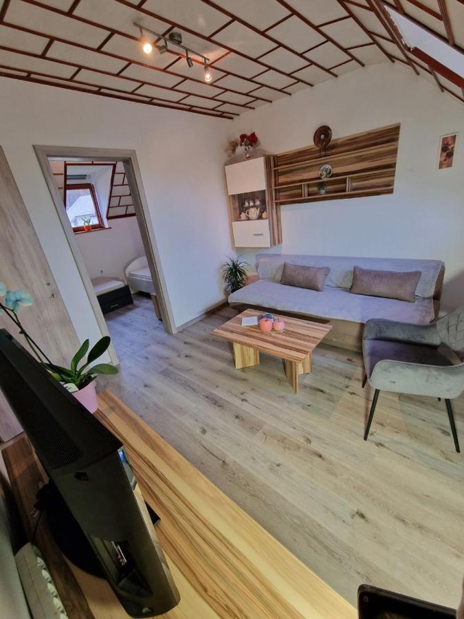 Apartments Karin بليد المظهر الخارجي الصورة