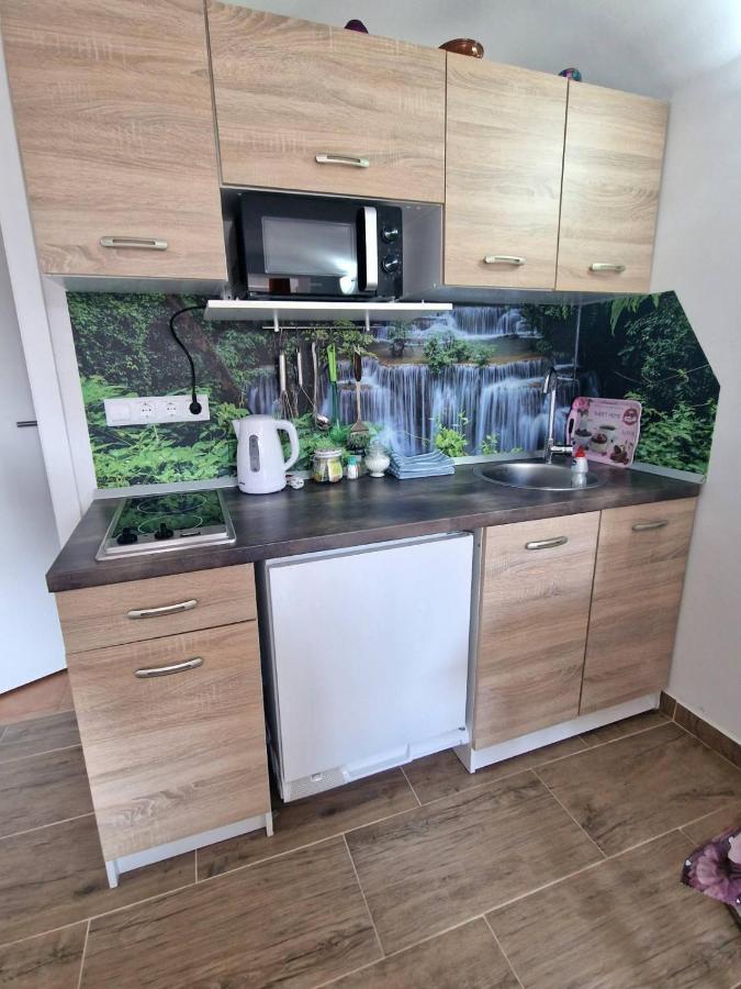 Apartments Karin بليد المظهر الخارجي الصورة